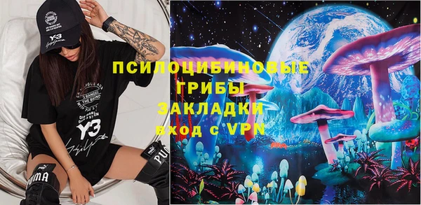 стафф Коряжма