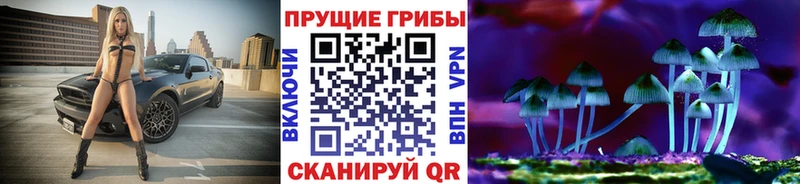 Псилоцибиновые грибы Cubensis  Рыбинск 